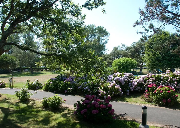 Cap Océan 3* Seignosse