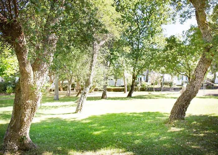 Parco vacanze Cap Océan Seignosse